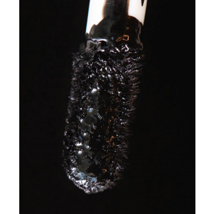 Bruna Tavares Velvet Cor Black